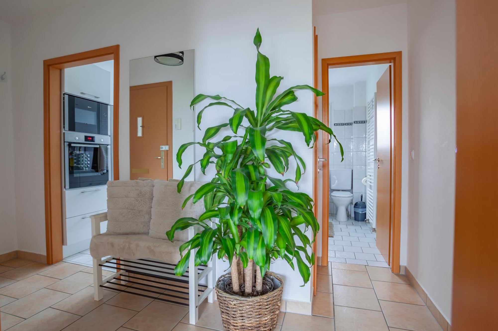 Exclusive 2-Room-City-Apartment - Contactless Check-In Hannover Exteriér fotografie